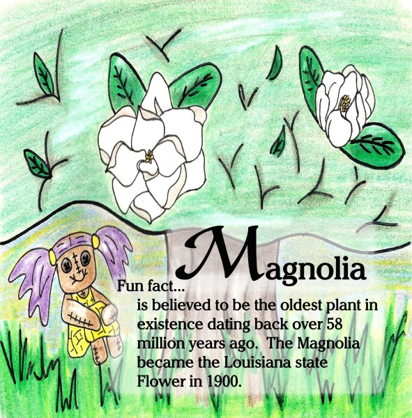 Magnolia page copy