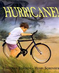 hurricane book