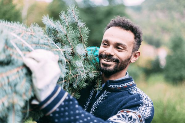 cut-your-own-christmas-tree-northshore