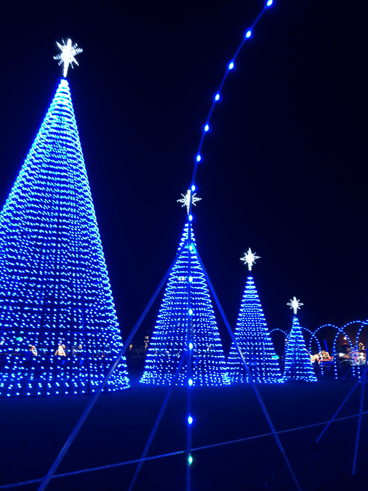 gulfport-christmas-lights-2