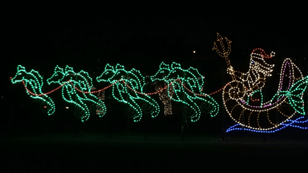 gulfport-christmas-lights-3