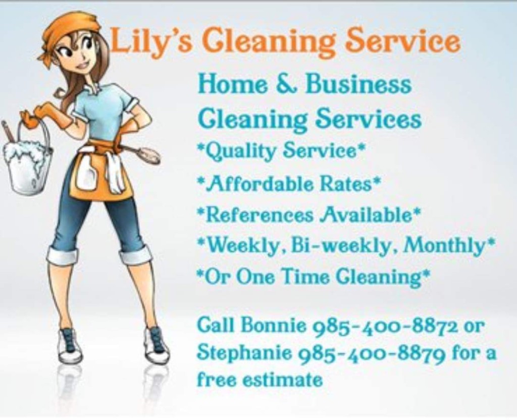 lilys cleaning service