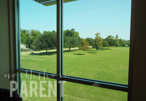 view through window