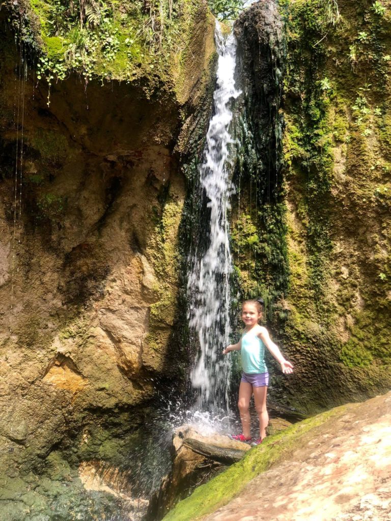 Camping near clark shop creek natural area