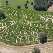 Family Fun at Southern Promiseland Farm and Corn Maze