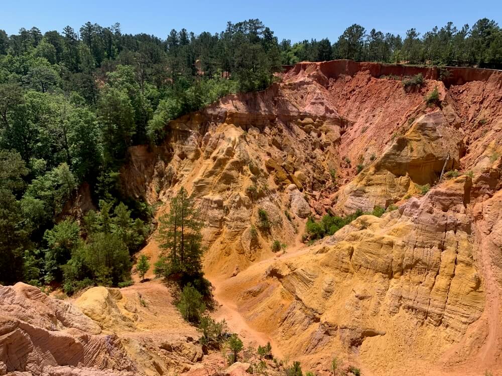 Red Bluff Hiking Trail The "Grand Canyon Of Mississippi" Provides Stunning Views In An Unexpected  Place - Northshore Parent