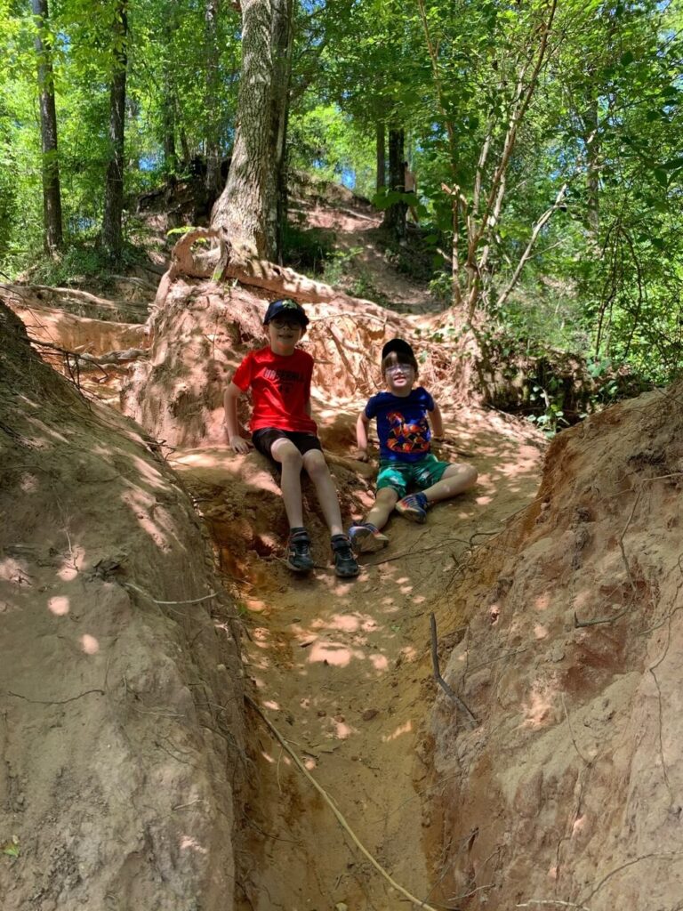 Red Bluff Hiking Trail The "Grand Canyon Of Mississippi" Provides Stunning Views In An Unexpected  Place - Northshore Parent