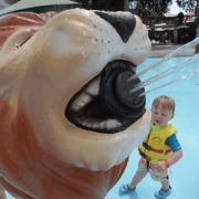 How to Do Cool Zoo