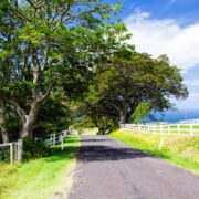 Twenty Fun Day Trips You Can Take From the Northshore