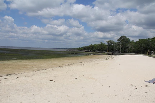 Picture of the beach at east Lakefront children's park in mandeville, LA