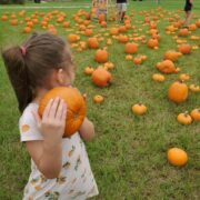 Brushy Branch Pumpkin Patch {An Honest Review}