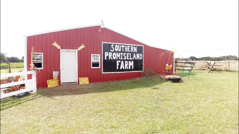 Family Fun at Southern Promiseland Farm and Corn Maze – Northshore Parent