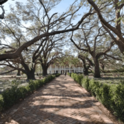 Whitney Plantation {Know Before You Go}