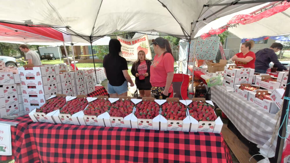 Flats for strawberries for sale in a booth with three women standing and talking. 