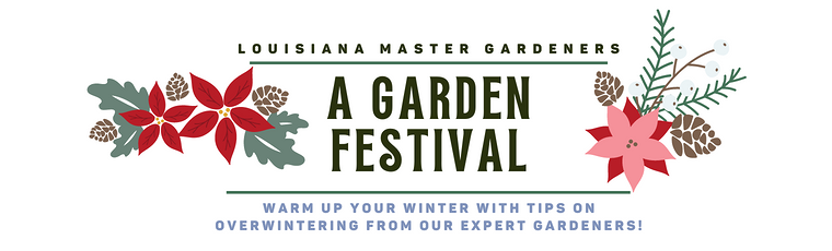 Winter Garden Festival