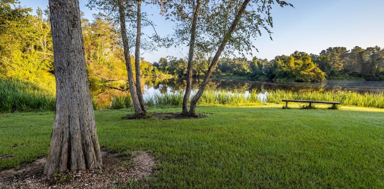 bogue chitto state park Franklinton Louisiana